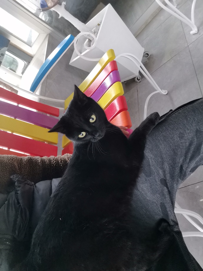 Şu an size eşlik eden manzarayı betimleyebilir misiniz?