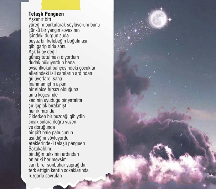 Sunay Akın ve Özdemir Asaf sevdiklerimin arasından. Aslında çok var… Şiir tutkunuyum ben…