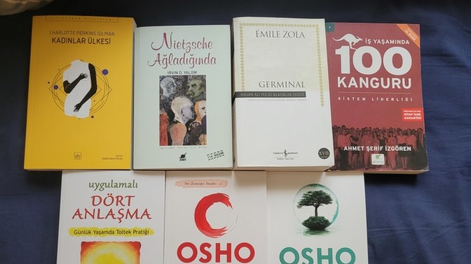 Hangi kitaptan başlasam, fikir verir misiniz 🤗?