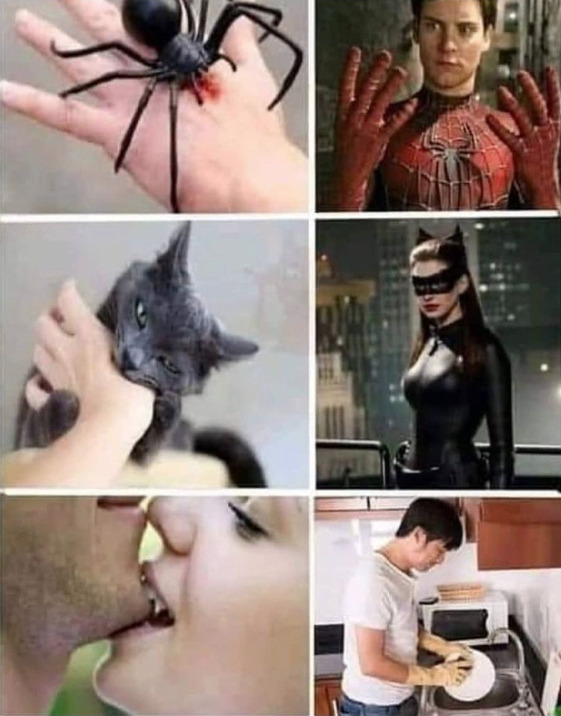 Kadınlar, hayatlarında hanımcı erkek mi ister?