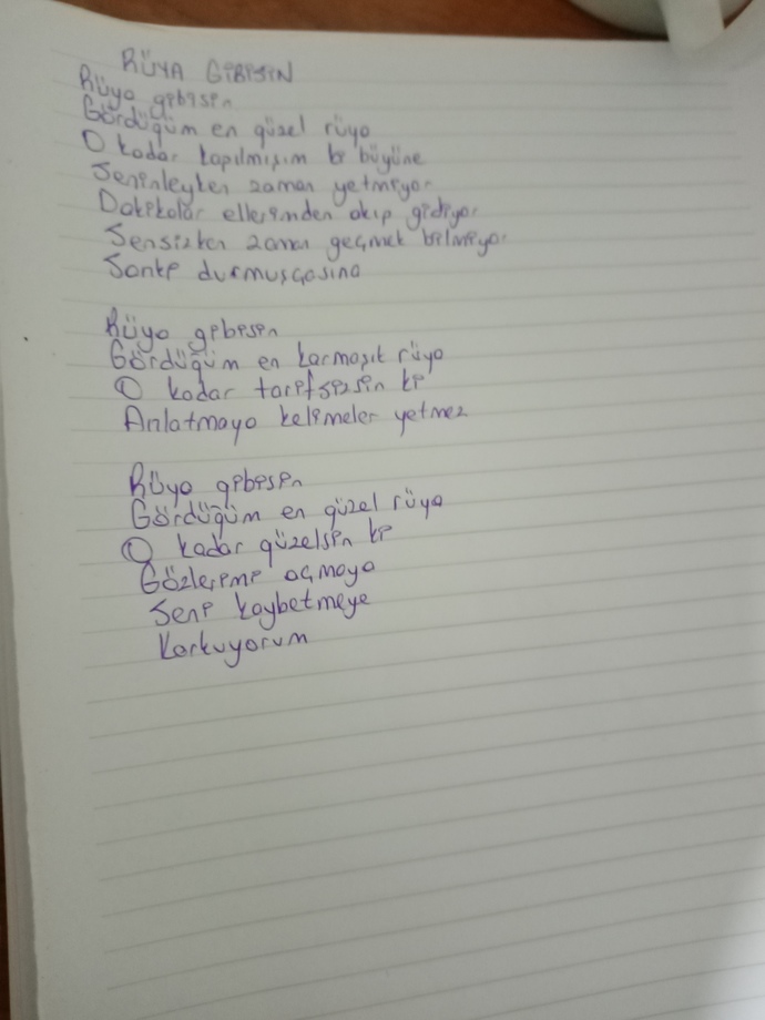Ergenlik zamanı, lise son sınıfta yazdığım bir şiirdi. Epeydir yazdığım deftere göz atmamıştım.