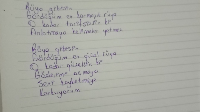 Şiir sever misiniz nasıl olmuş?