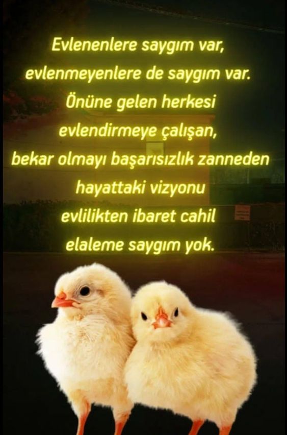 Saygı nedir sana göre?
