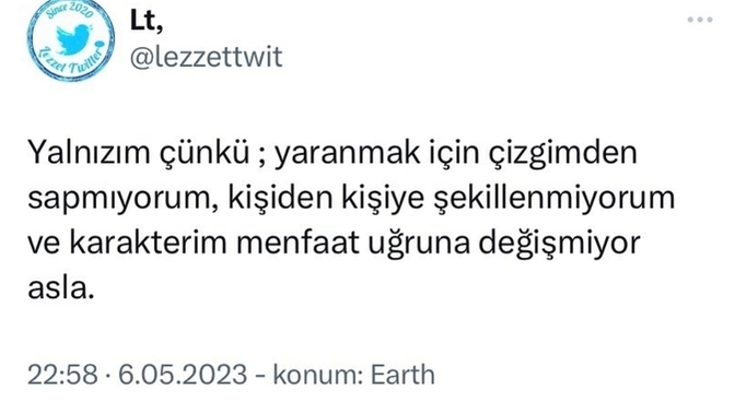 Siz yalnız mısınız?