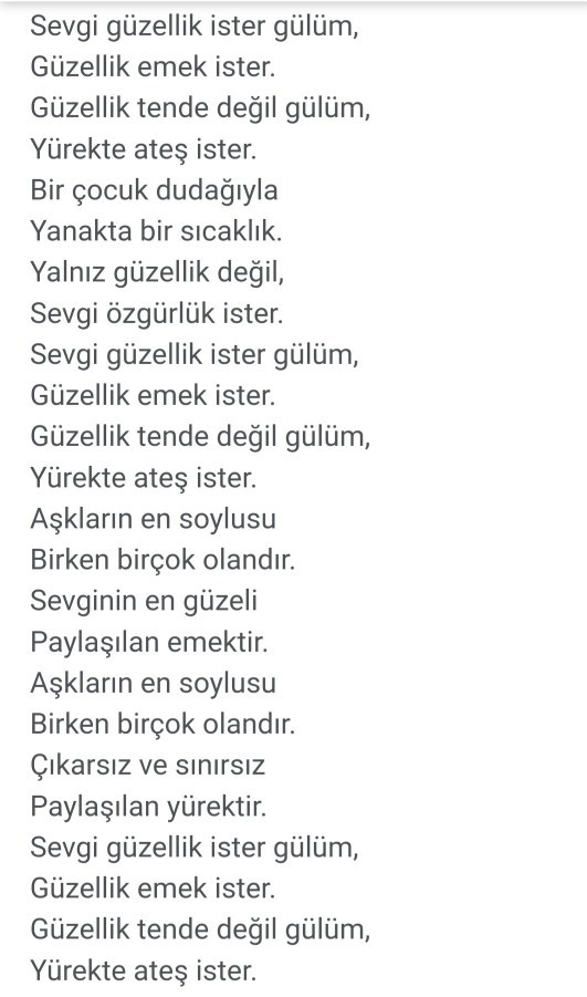 Sosyal medya üzerinden tanıştığınız biriyle evlenir miydiniz?