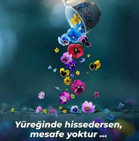 Sosyal medya üzerinden tanıştığınız biriyle evlenir miydiniz?
