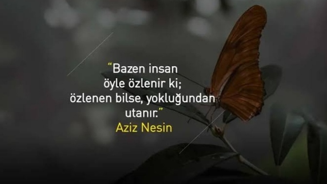 Özlediğinizi açıkça dile getirir misiniz?