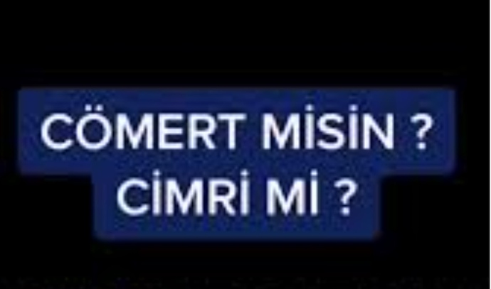 Cimri misiniz, cömert mi?