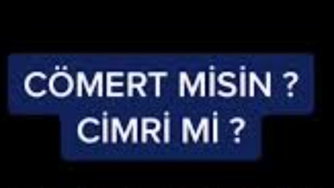 Cimri misiniz, cömert mi?