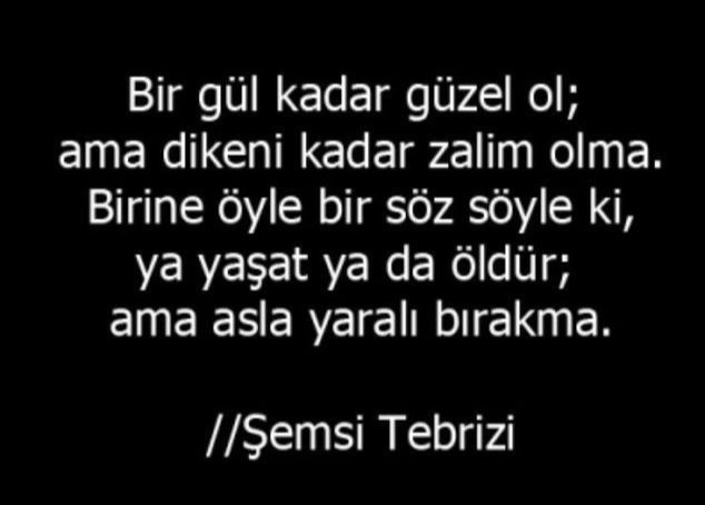 Sevdiğiniz bir özlü söz var mı varsa hangisi?