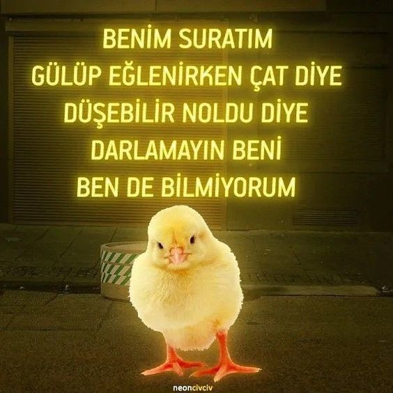 Bu da olabilir fenasi bi özellik