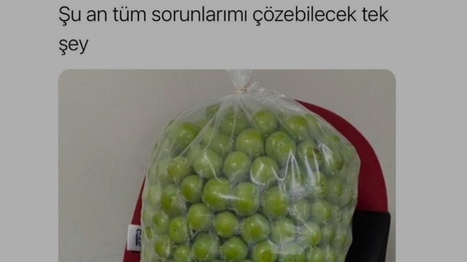 Sorunlarınızı çözecek tek şey nedir?
