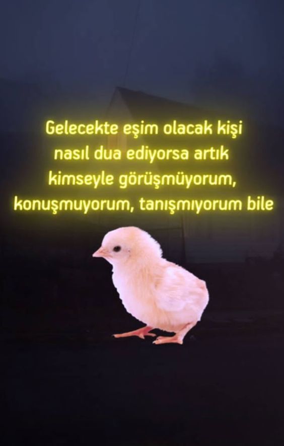Dua mıdır, beddua mı ettiğin?