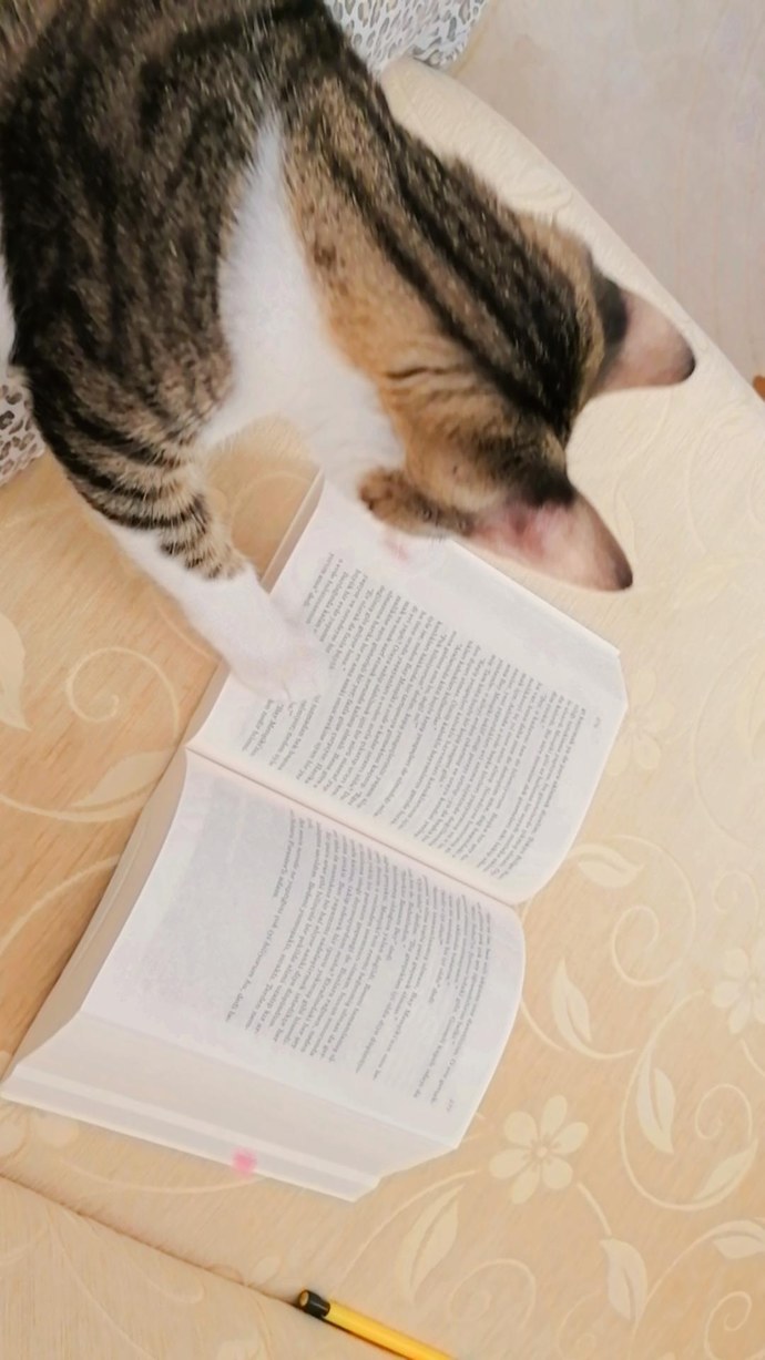 Kitap alışverişi için kitap önerir misiniz?