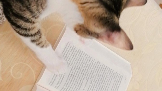 Kitap alışverişi için kitap önerir misiniz?