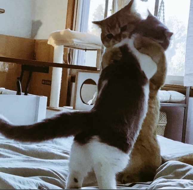 Sevgi her şeyin ilacı mıdır?
