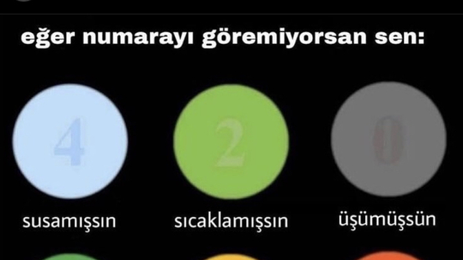 Hangi numarayı görmediniz?