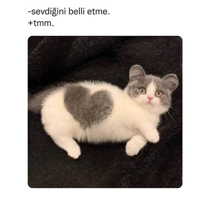 Sevdiğini belli eder misin?