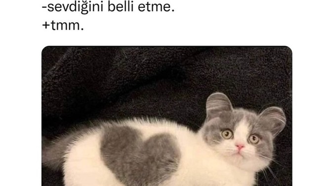 Sevdiğini belli eder misin?