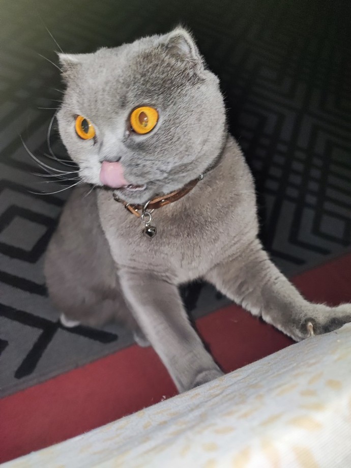 İnatçı kişiliğiniz var mı?