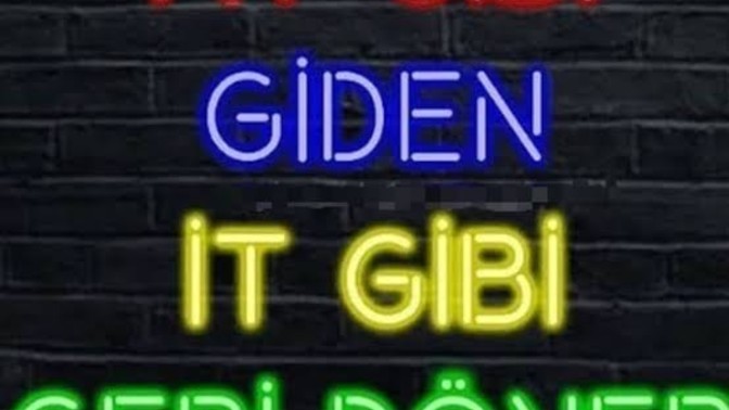 At gibi gidip it gibi dönenlere ne cevap veriyoruz beyler bayanlar?