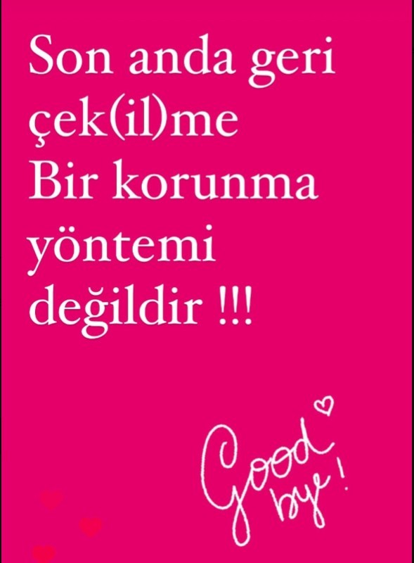 Muharrem İnce Cumhurbaşkanlığı adaylığından çekildi! Yaptığı doğru mu?