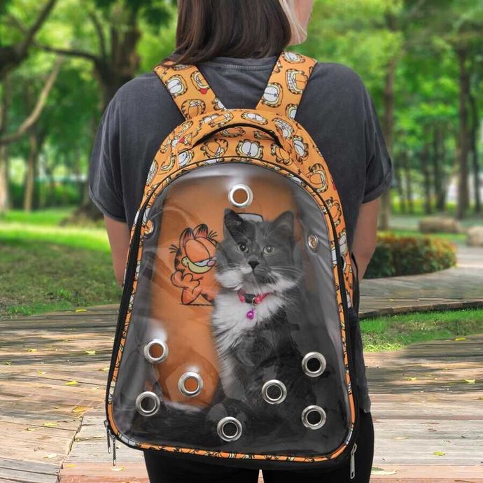 Bu kedi taşıma çantasını alsam mı, kullanışlı görünüyor mu?