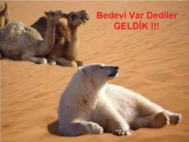 Hayattaki şansınız ne kadar?