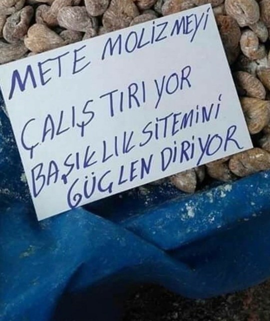 Yazım yanlışlarını görünce kriz mi geçiriyorsunuz, gülüyor musunuz?