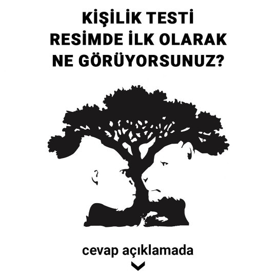 Kislik testi resimde ne gördüğünü kisiliginiz 🍓ile ilgili 💓bilgiler veriyor💕 cevaplar❤️ acıklamada?