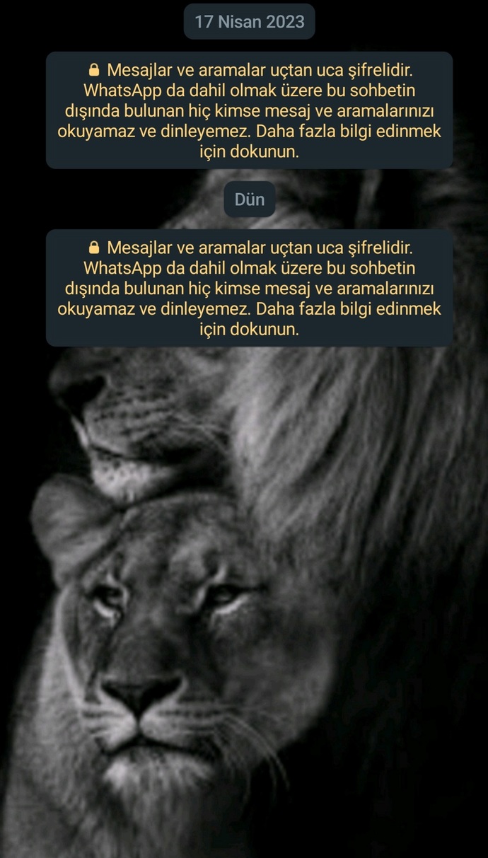 Whatsapp sohbet ekranında bu yazı neden ya da ne yapıldığında çıkıyor arkadaşlar?