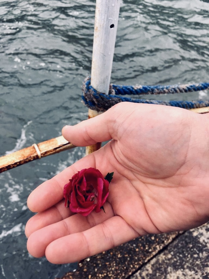 Sevdiklerine gül🌹mü atıyorsun, taş mı?
