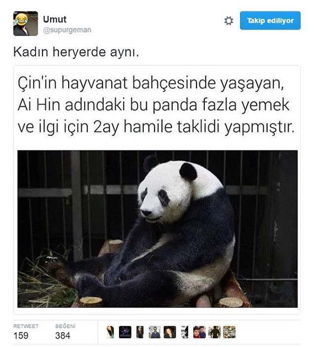 Kadınlar ne yapmaz?