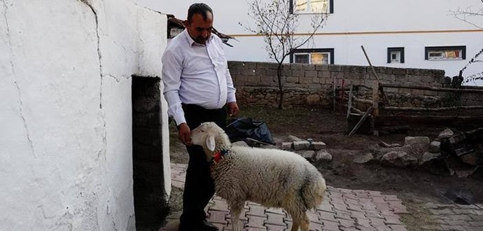 Hangi duyguya muhtaçsınız?