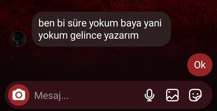 Merhaba arkadaskar flört etigim çocuk biisi sòyledi ama ben anlamdım?