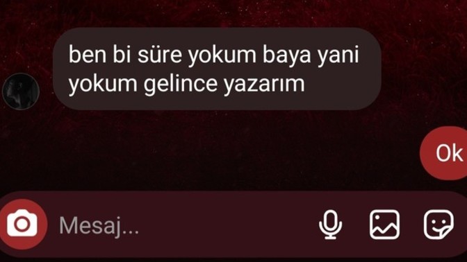 Merhaba arkadaskar flört etigim çocuk biisi sòyledi ama ben anlamdım?