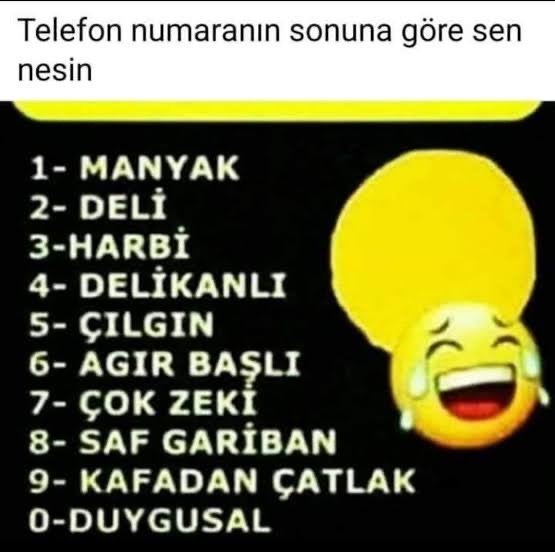 Telefon numaranın son rakamına göre sen nesin?