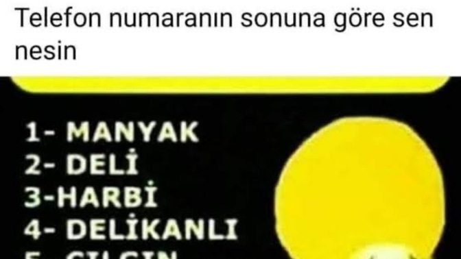 Telefon numaranın son rakamına göre sen nesin?