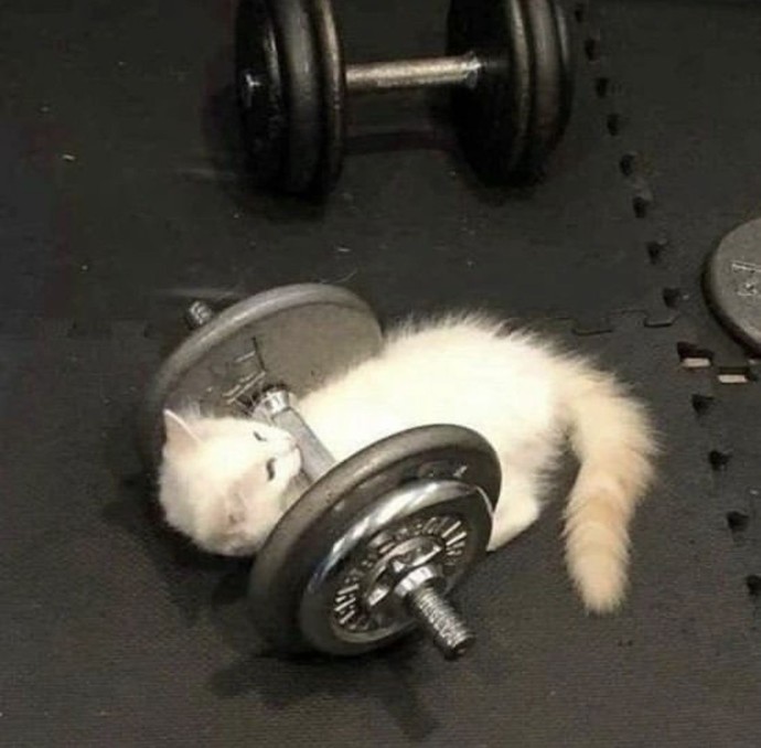 Üst vücut geliştiren kadın bir adım önde midir?