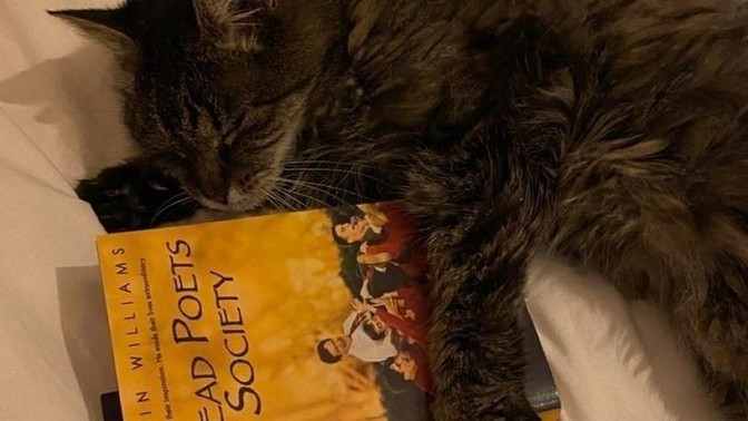 Favori kitabın ne?
