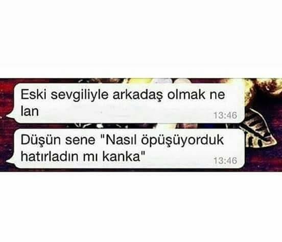 Eski sevgilisiyle arkadaş kalan birisiyle sevgili olur musunuz?