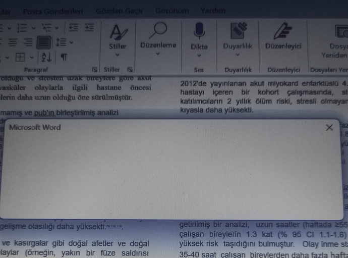 Word böyle oldu ne yapacağım?