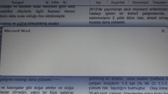 Word böyle oldu ne yapacağım?