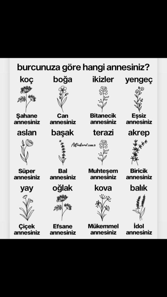 Burcuna göre nasıl bir annesin?