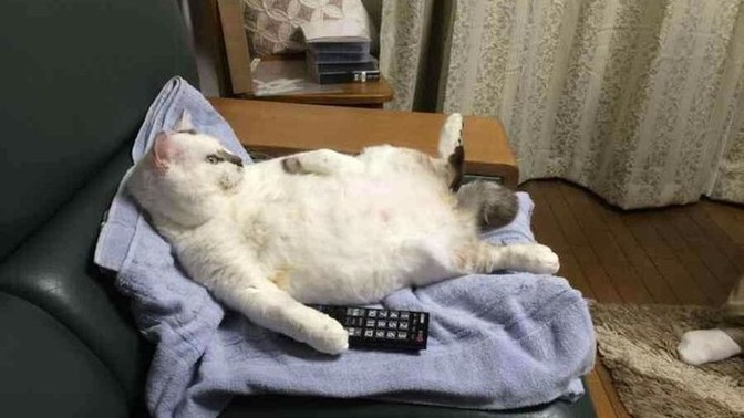 Anlık durumlar nasıl?