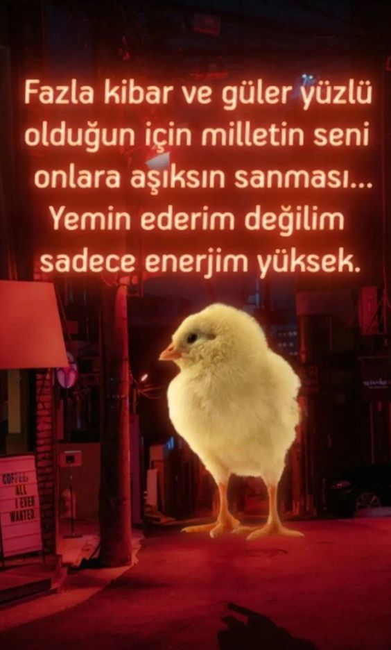 Sadece güleç bir insanım