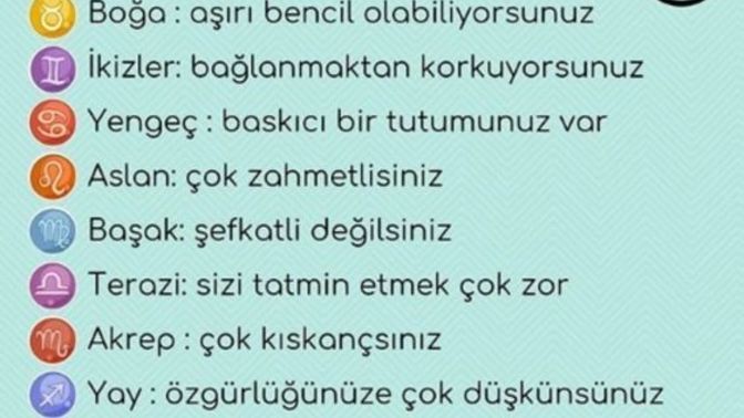 Burcunuza göre😉 neden bekarsınız?