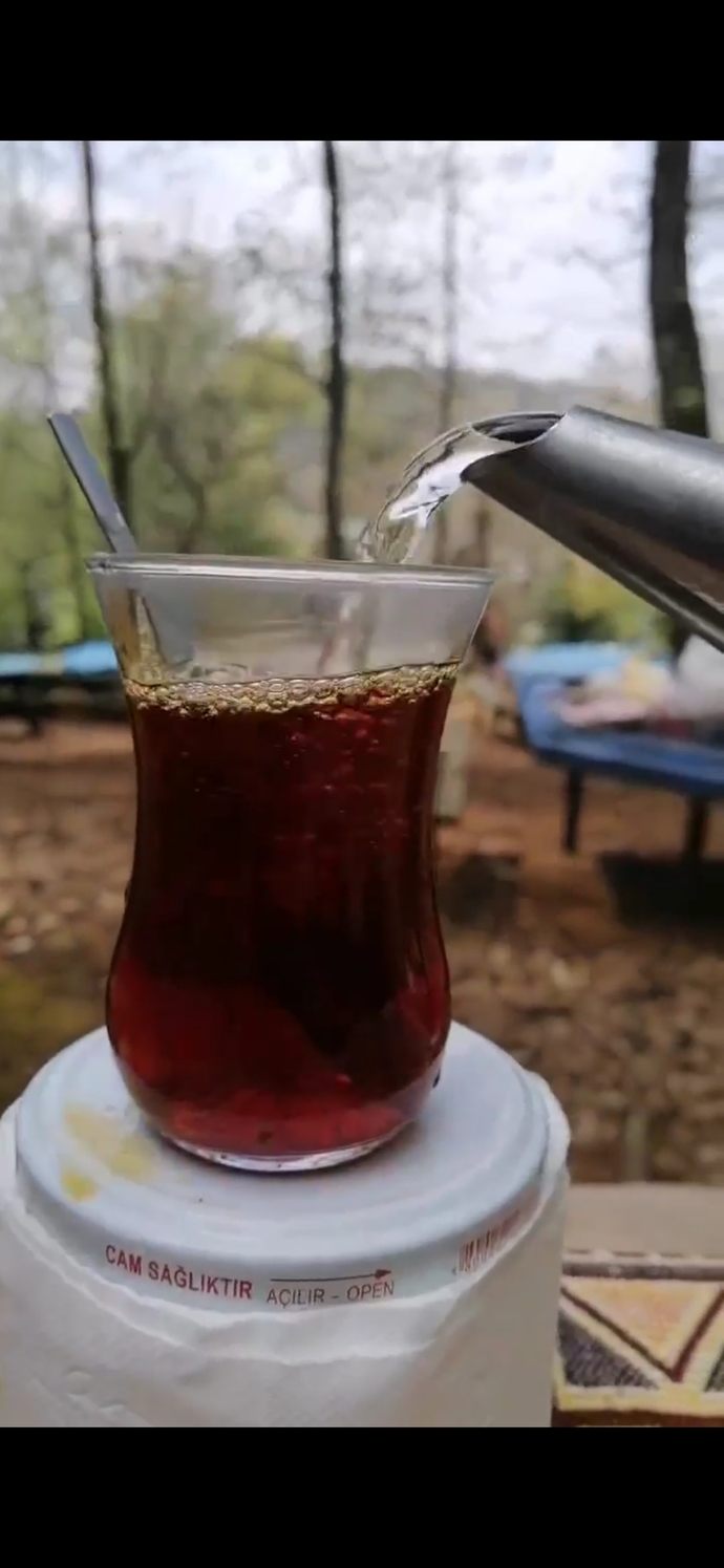 Senin favori çayın hangisi?