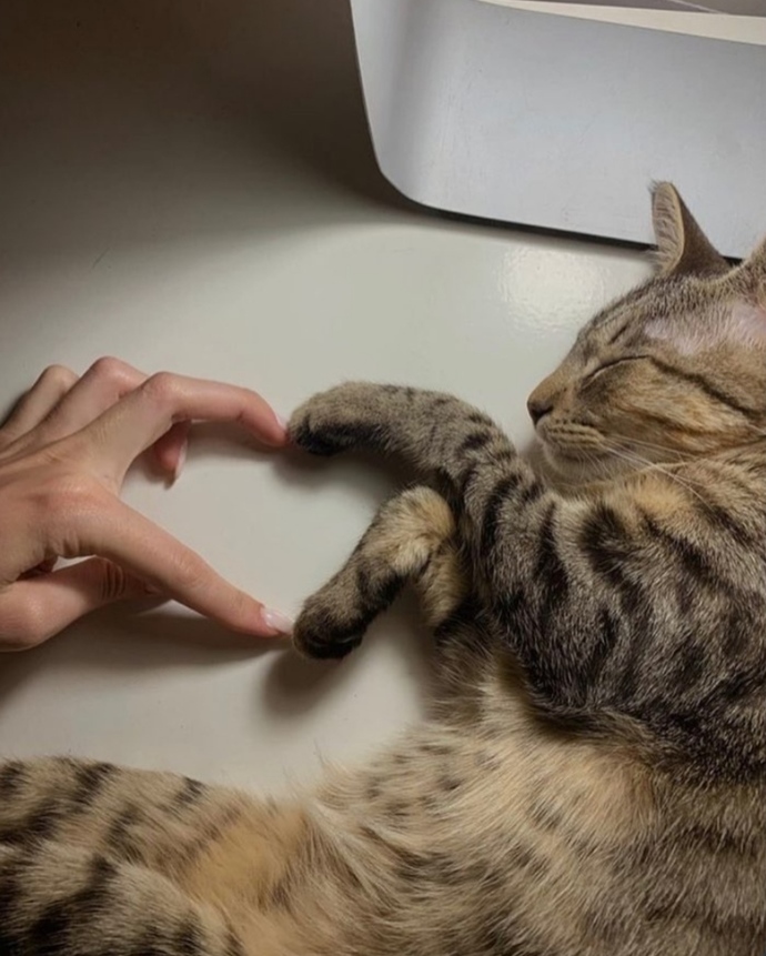 Aşk perisi olsan, kimi kime aşık etmek isterdin?