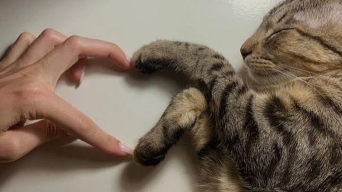 Aşk perisi olsan, kimi kime aşık etmek isterdin?